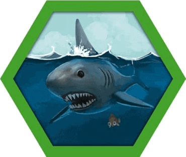 The Island Brettspiel Hai